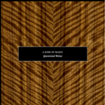 Veneer-Gri541-1.png